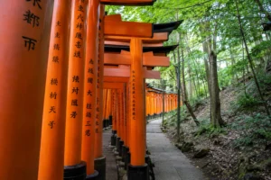 "Torii gate mountain trail illustrating unrepeatable experience density in destination selection"